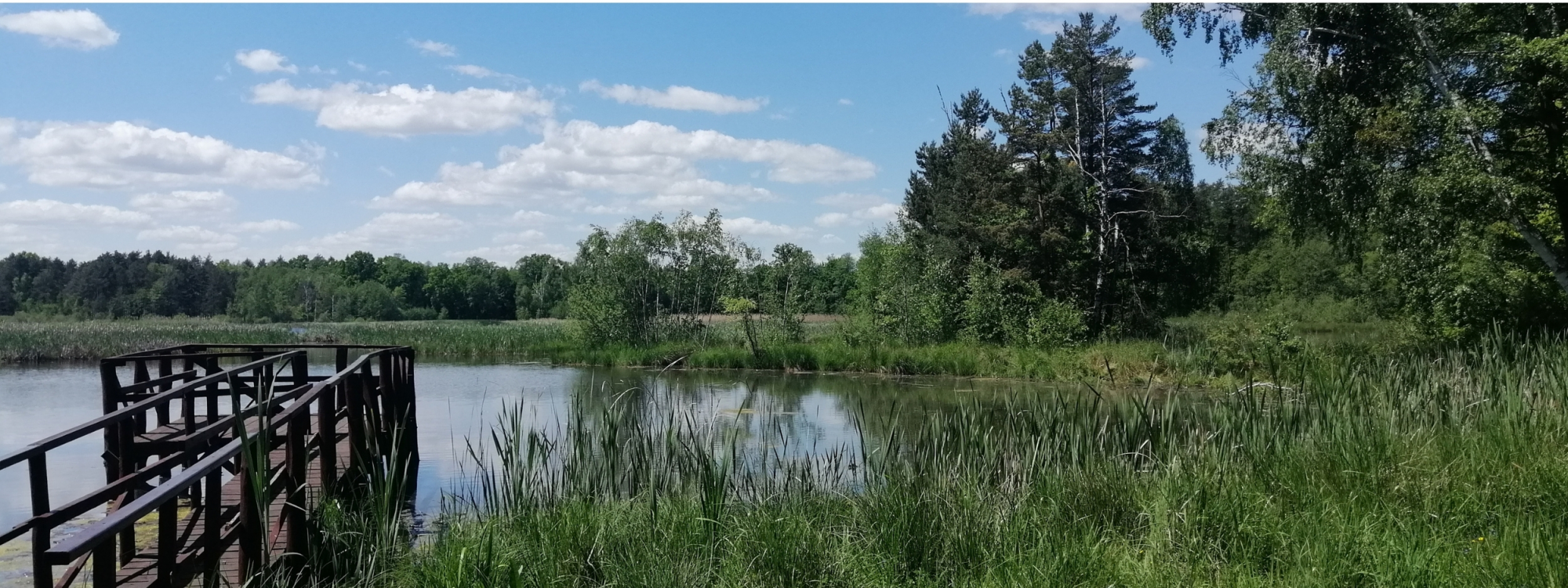 Park Krajobrazowy Lasy Nad Górną Liswartą